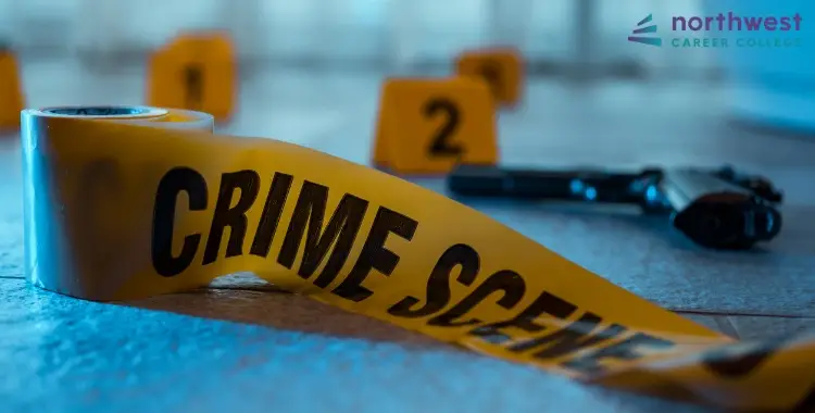Task 2 - Crime Mitigation Strategies: Extended Sentencing vs. Alternative Approaches