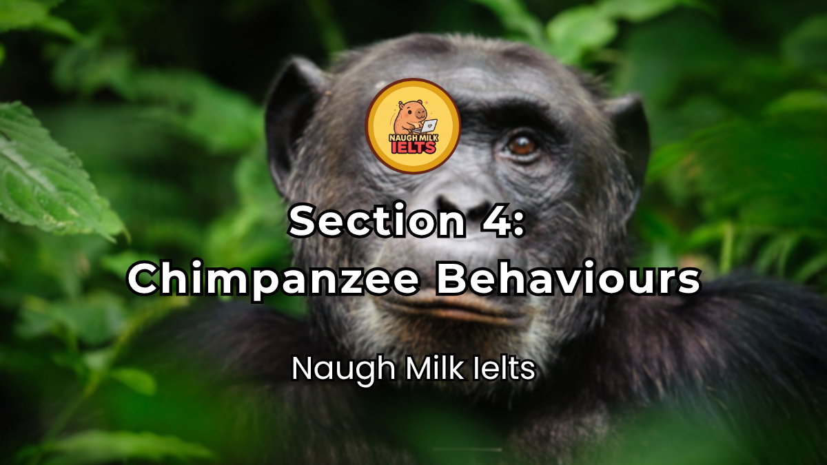 SECTION 4: Chimpanzee Behaviours