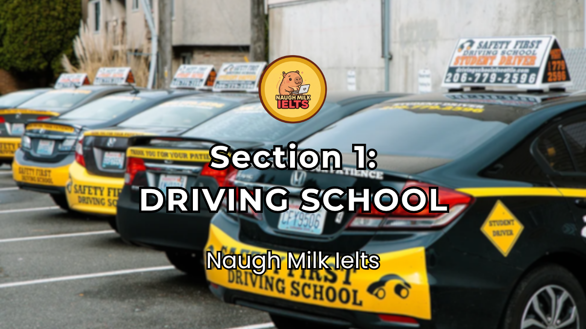 SECTION 1: DRIVING SCHOOL