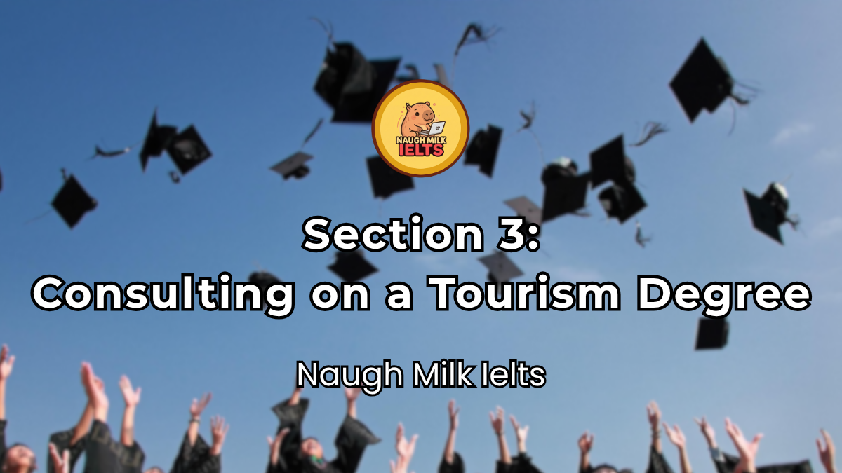 SECTION 3: Consulting on a Tourism Degree