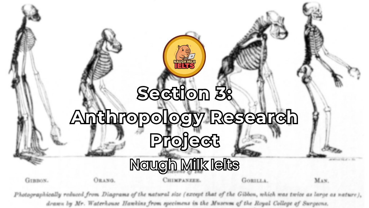 SECTION 3: Anthropology Research Project