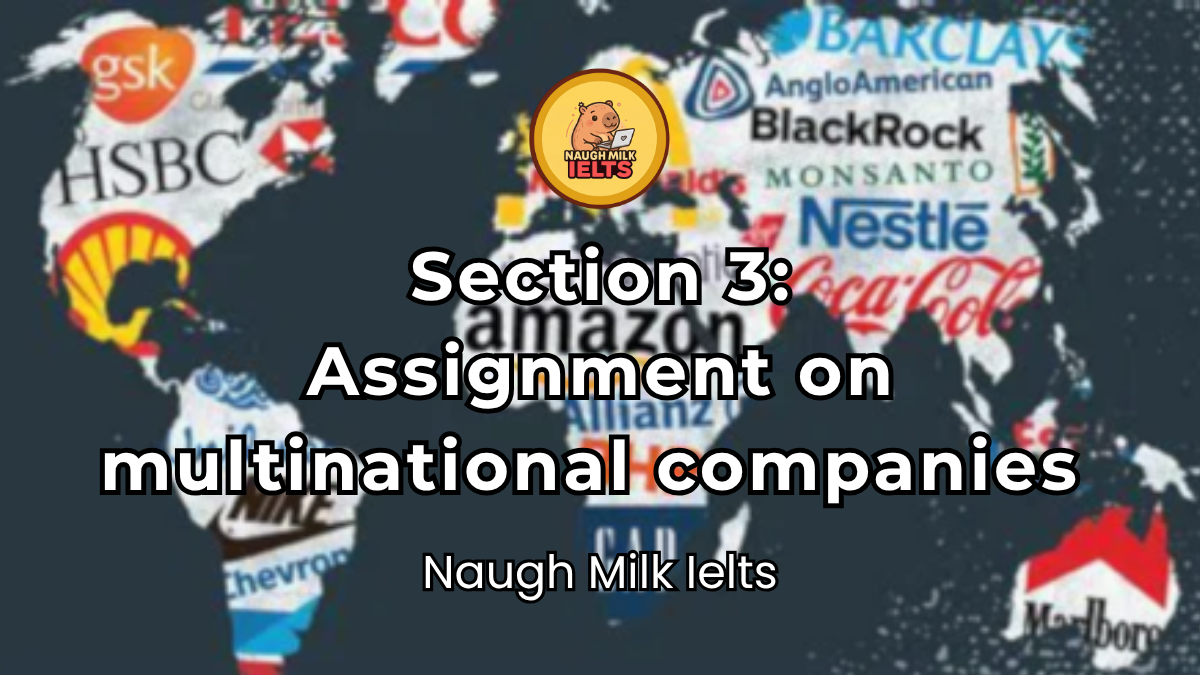 SECTION 3: Assignment on multinational companies 