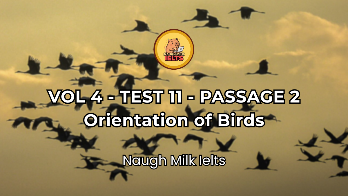 VOLUME 4 - TEST 11 - PASSAGE 2: Orientation of Birds