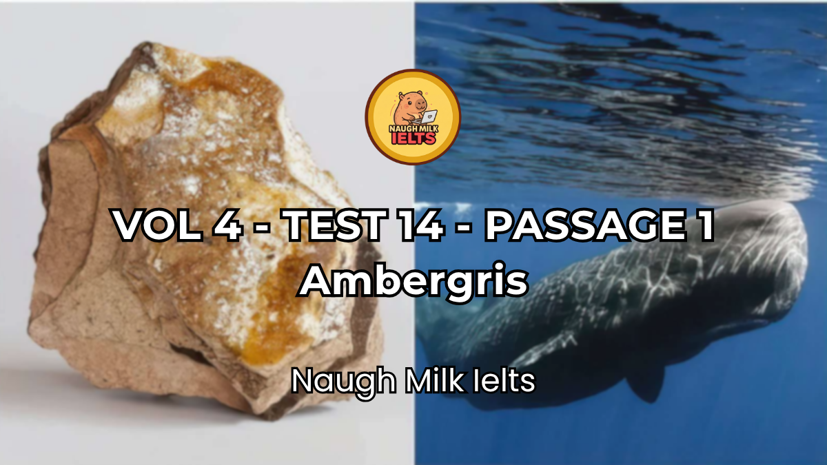 VOLUME 4 - TEST 14 - PASSAGE 1: Ambergris