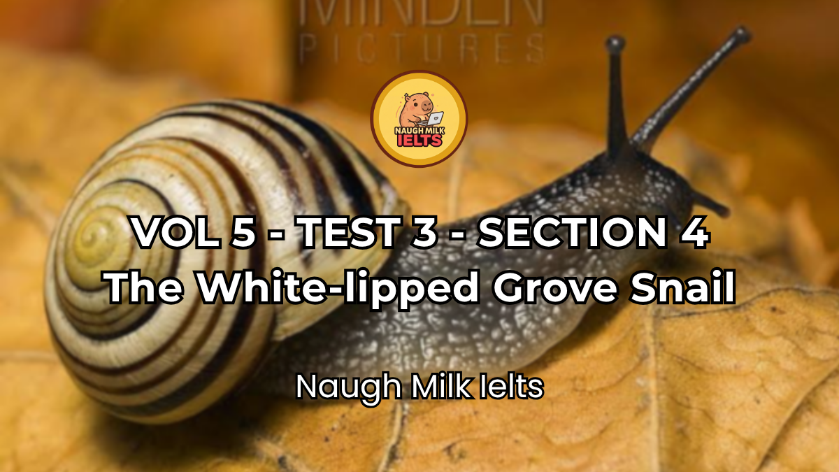 VOLUME 5 - TEST 3 - SECTION 4: The White-lipped Grove Snail