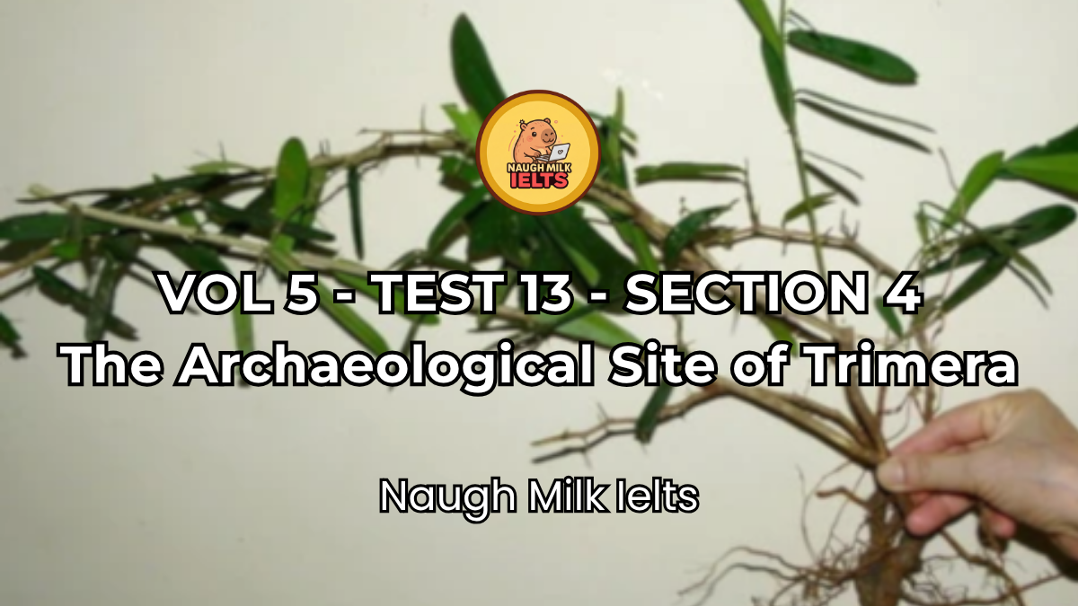 VOLUME 5 - TEST 13 - SECTION 4: The Archaeological Site of Trimera