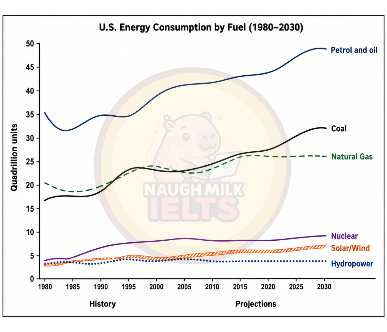 Task 1: The graph below gives information from a 2008 report about the consumption of energy in the USA since 1980 with projections until 2030.