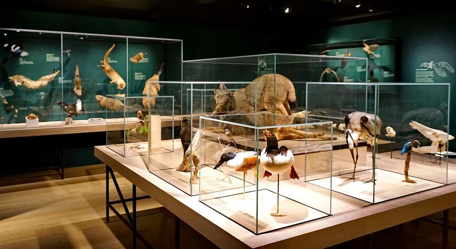 Task 2 - Some people think that museums should be enjoyable places to entertain people, while others believe that the purpose of the museums is to educate.