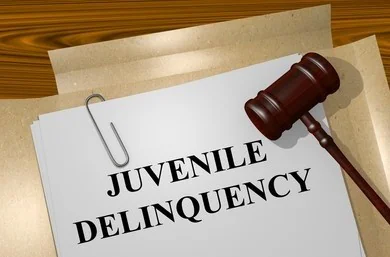 Task 2 - Juvenile Delinquency: Individual Accountability vs. Parental Responsibility